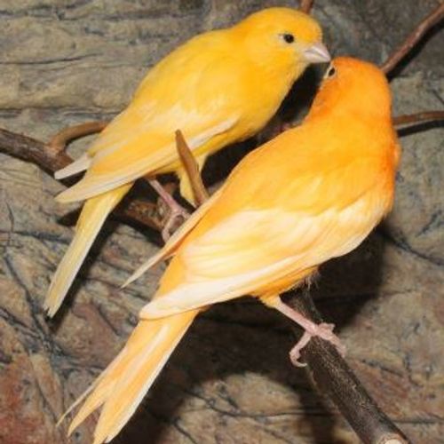 Blog Post Image