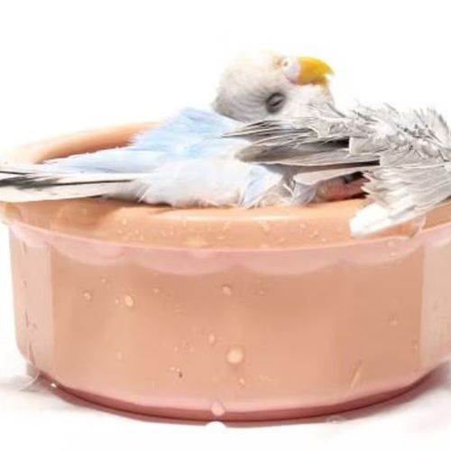 Blog Post Image