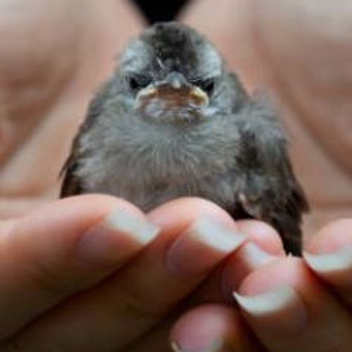 Blog Post Image