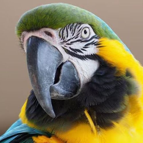 Blog Post Image