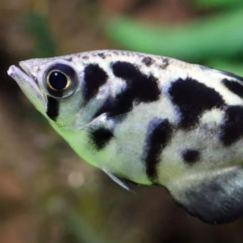 Blog Post Image