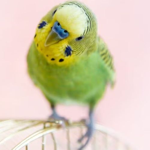 Blog Post Image
