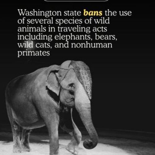 Blog Post Image