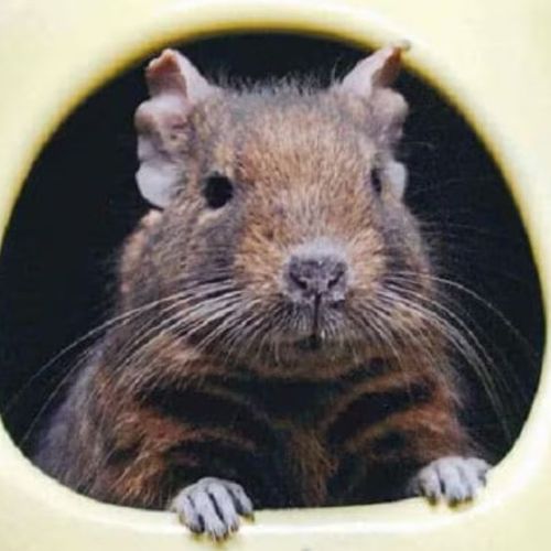 Blog Post Image