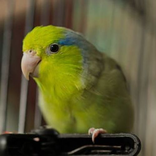 Blog Post Image