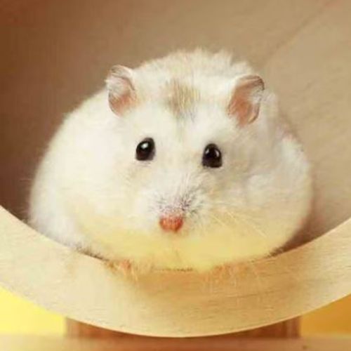 Blog Post Image