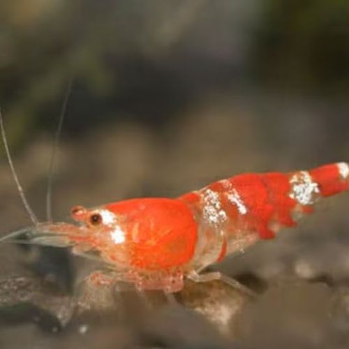 Blog Post Image