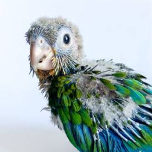 Blog Post Image