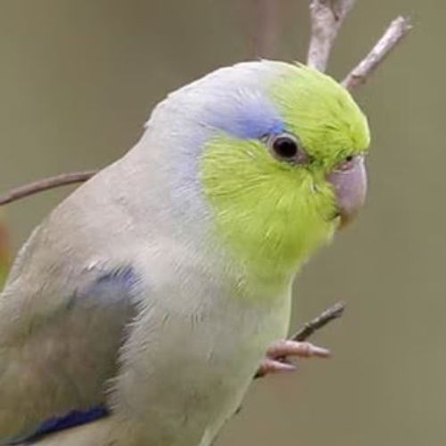 Blog Post Image