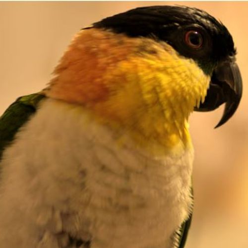 Blog Post Image