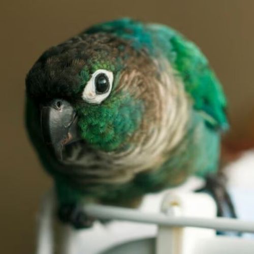 Blog Post Image