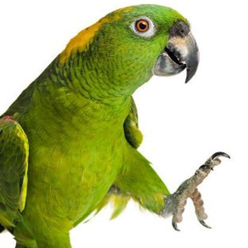 Blog Post Image