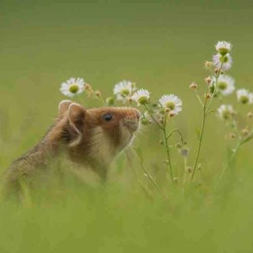Blog Post Image