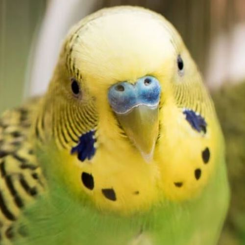 Blog Post Image