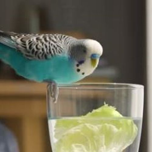 Blog Post Image