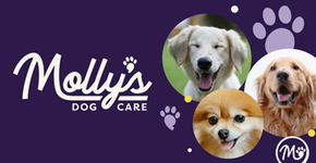 Profile image of Molly's Dog Care