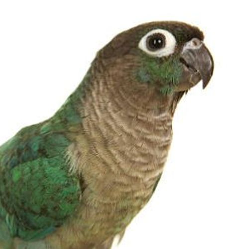 Blog Post Image