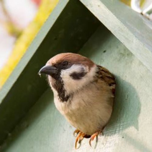Blog Post Image