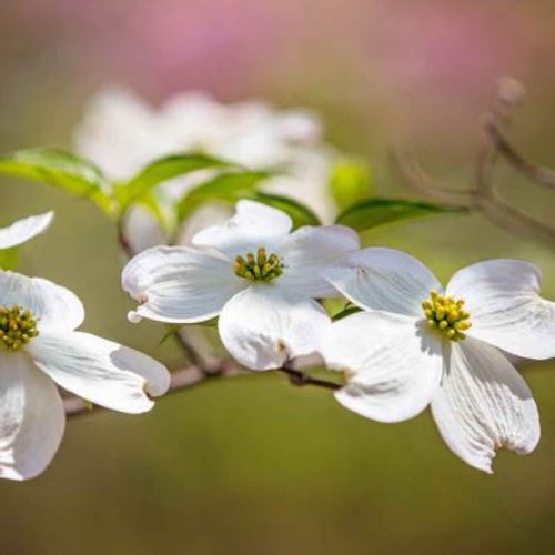 Blog Post Image