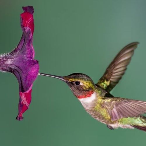 Blog Post Image