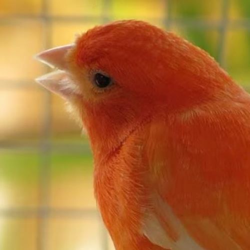 Blog Post Image