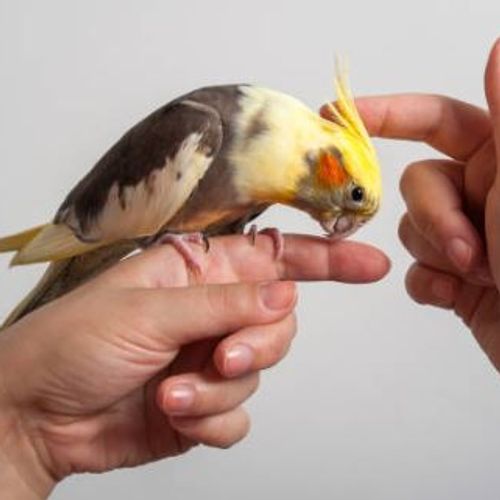 Blog Post Image