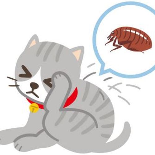 Blog Post Image