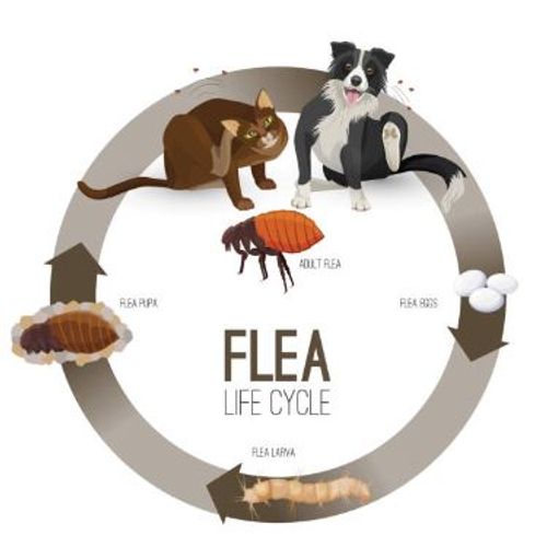 Blog Post Image
