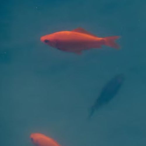 Blog Post Image