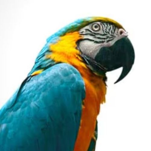 Blog Post Image