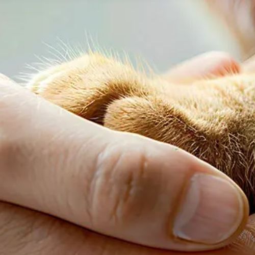 Blog Post Image