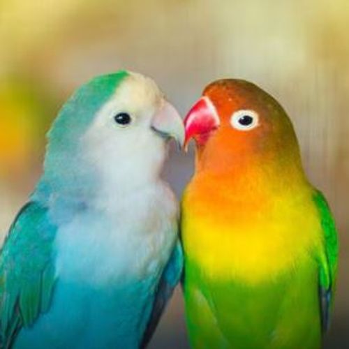 Blog Post Image