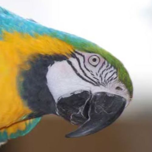 Blog Post Image