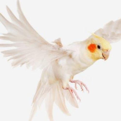 Blog Post Image
