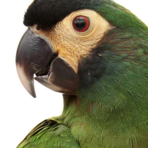 Blog Post Image