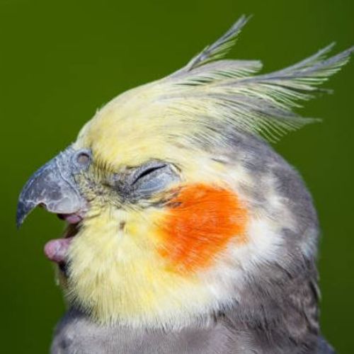 Blog Post Image
