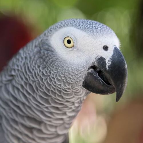 Blog Post Image