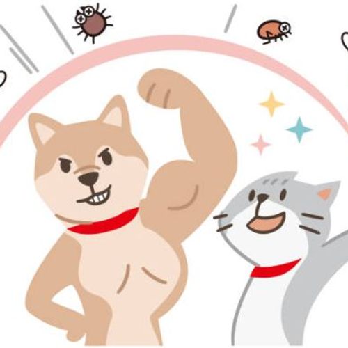 Blog Post Image