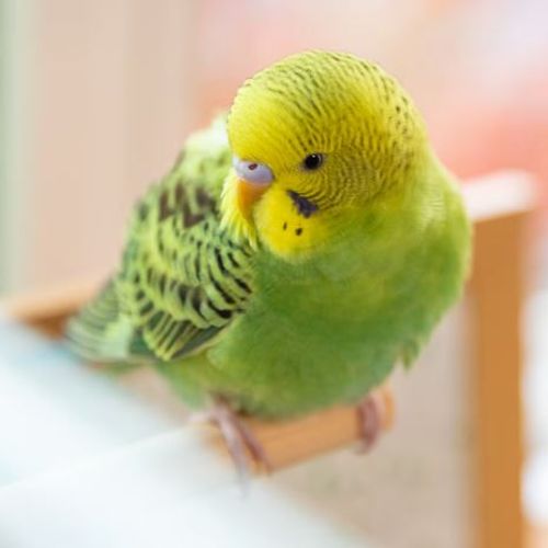 Blog Post Image