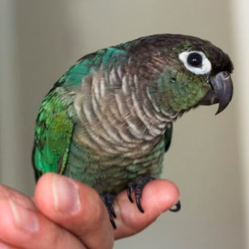 Blog Post Image