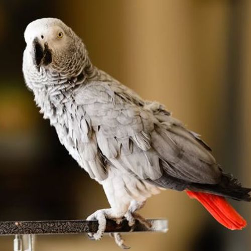 Blog Post Image