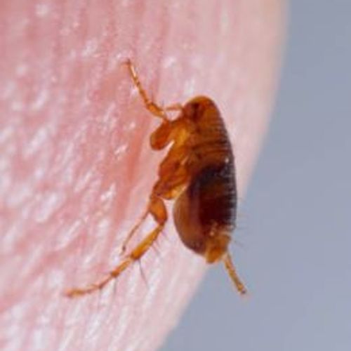 Blog Post Image