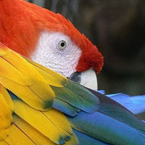 Blog Post Image