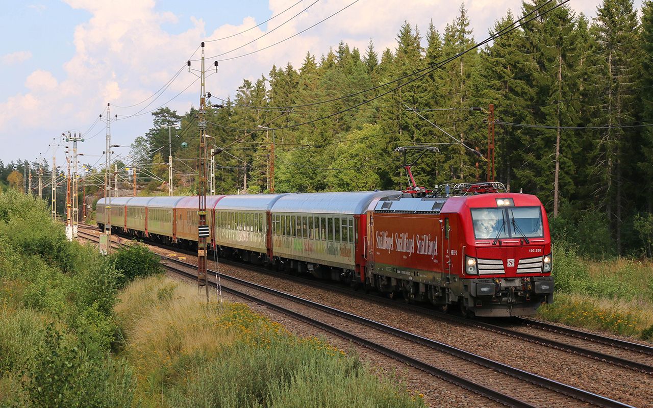 Et av togene fra Snälltoget kjører med retning til høyre i bildet. I bakgrunn er det granskog. 