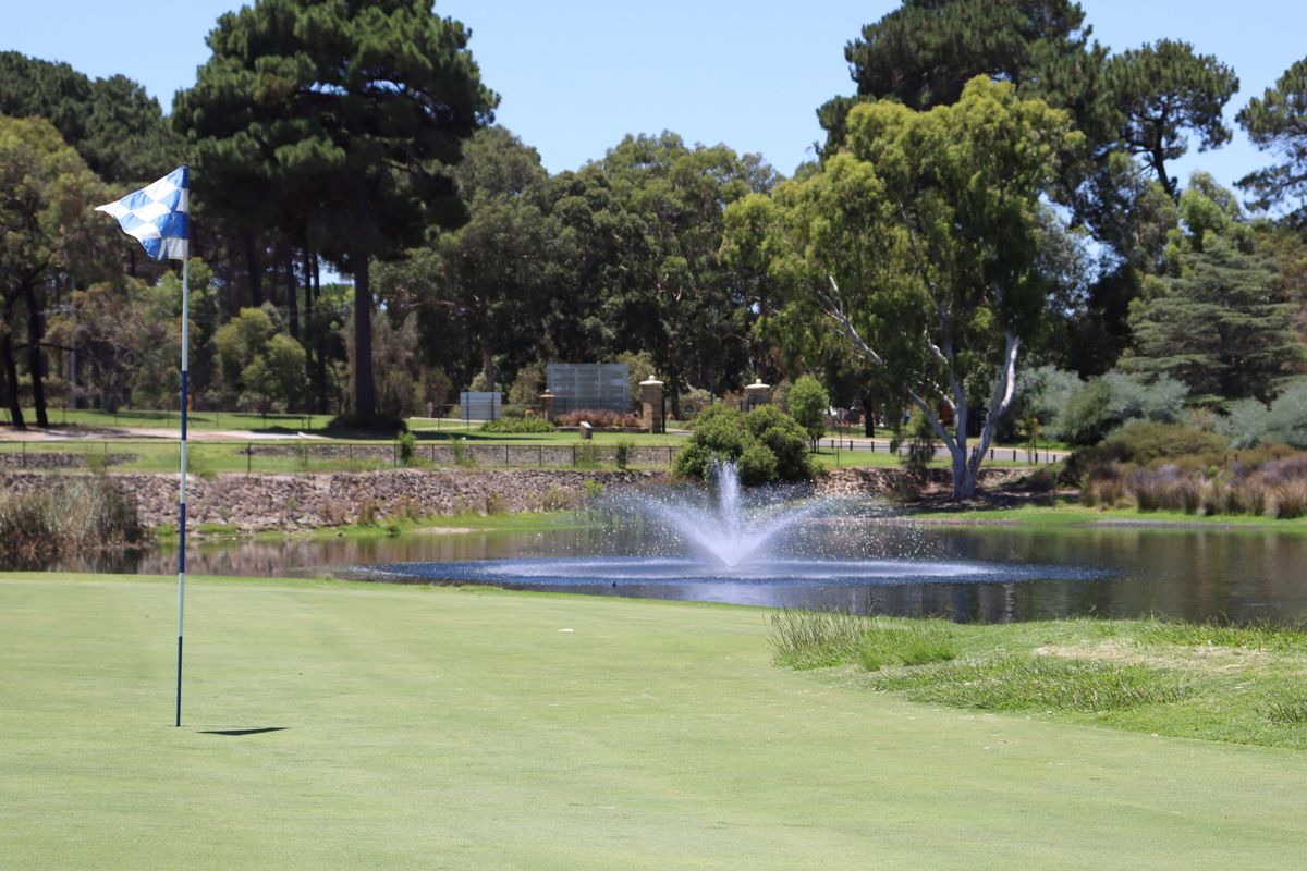 A green with a checkered flag at Collier Park Golf Course, overlooking a pond with a water fountain.