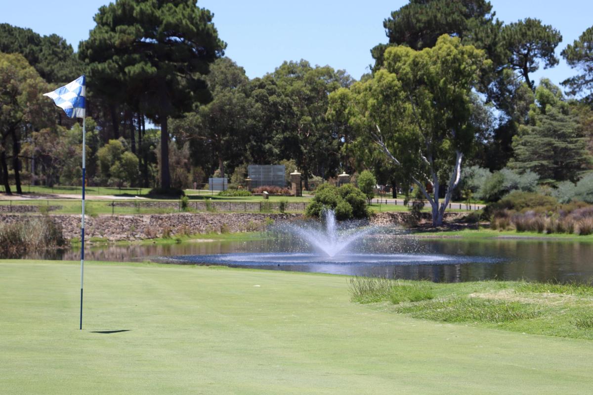 A green with a checkered flag at Collier Park Golf Course, overlooking a pond with a water fountain.
