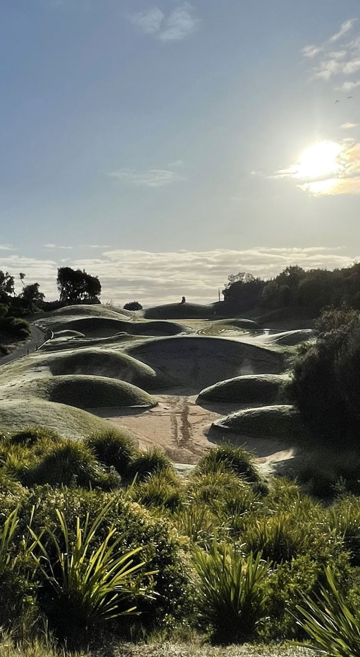 A dune-style bunker complex at Eagle Ridge Golf Course lit by low sun, with a distant figure on the green.