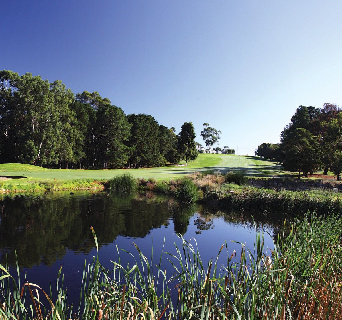 A fairway beside a reed-lined pond at Heidelberg Golf Club, Melbourne