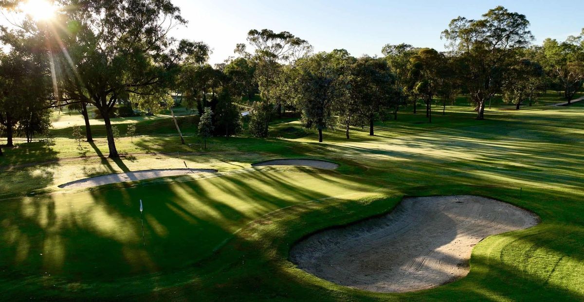 Aerial view of a green with two bunkers at Bathurst Golf Club, backlit by low sun through surrounding gum trees.