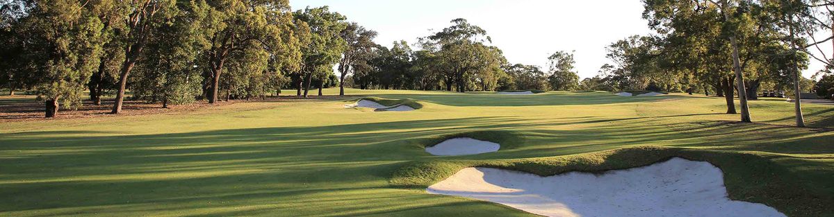 A tree-lined fairway with bunkers at Concord Golf Club, Sydney